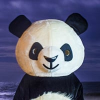 Bryan Regan: Sideshow Panda